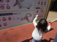 みのり
